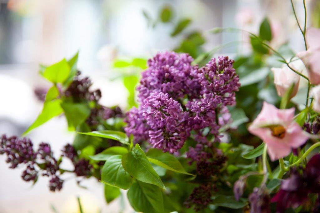 Image of store street (10)